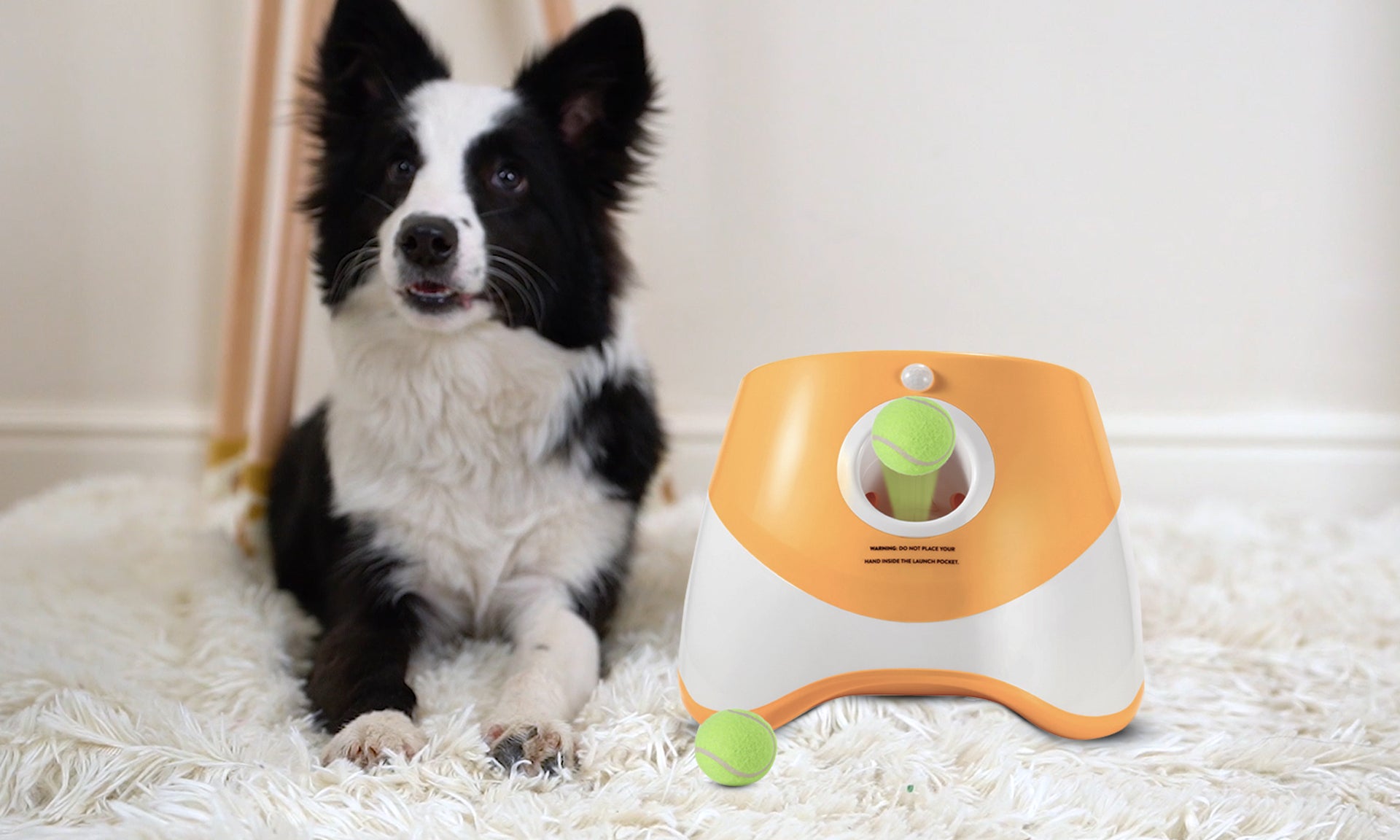 Video laden: Pets World ballenwerper
