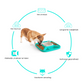 Dog Bowl With Bowl Medium Large &amp; Large Dogs White (2 In 1)