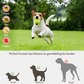 Honden Ballenwerper Kleine & Middel Grote Honden Groen