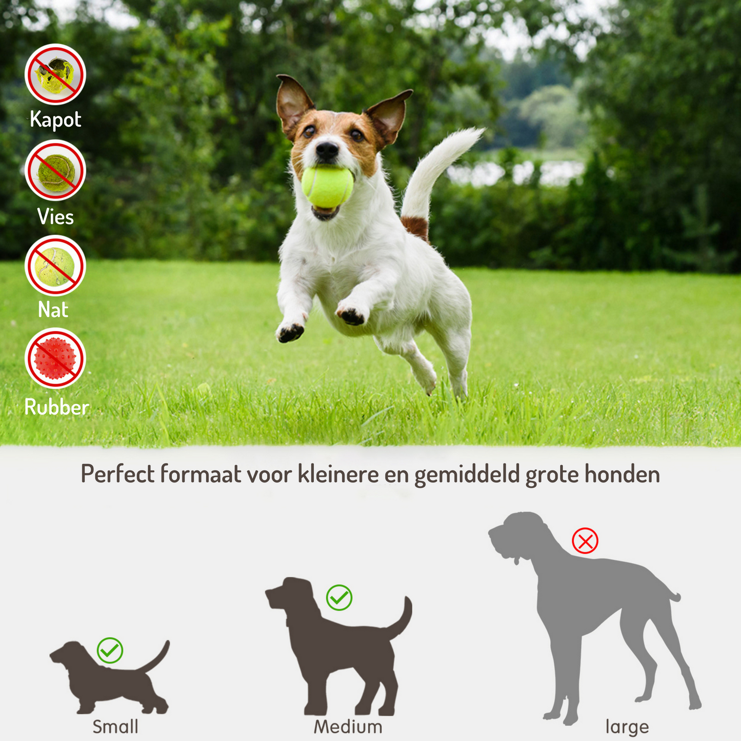 Ballwerfer für Hunde, kleine und mittelgroße Hunde, grün