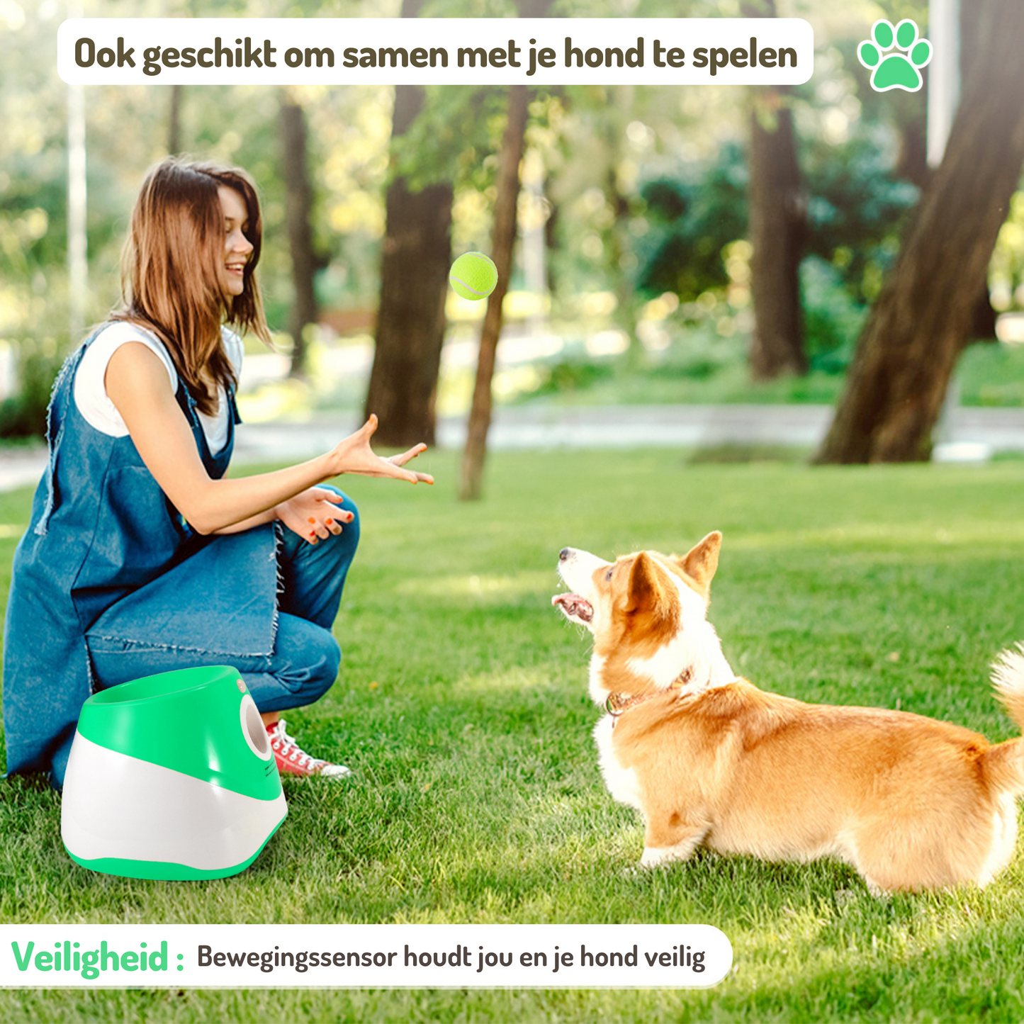 Ballwerfer für Hunde, kleine und mittelgroße Hunde, grün